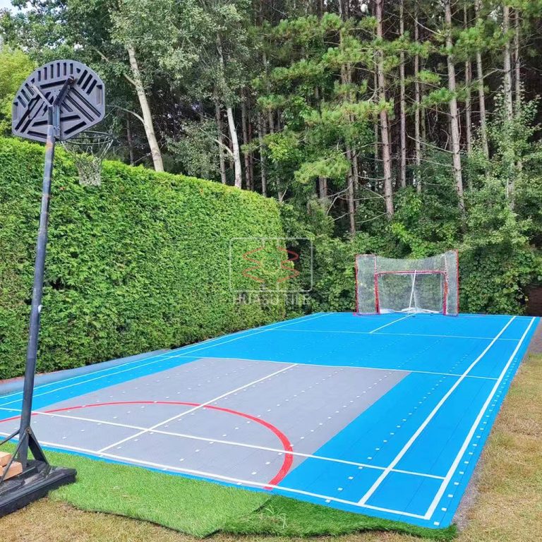 Backyard Basketball+Hockey Court